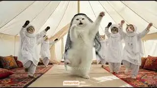 Fa9la song #cats #catshorts #youtubeshorts #2026trends #ai #memes  #viral #viralsong #fa9la #shorts