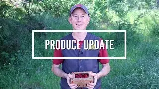 BriarPatch Produce Update -  Spring 2018