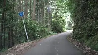 国道439号　上り・全線　等速版　高知県四万十市・中村→徳島県徳島市　修正版