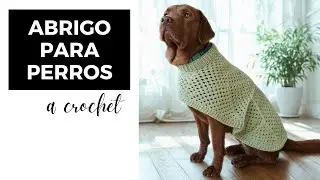 Teje un abrigo para perro a crochet 🐾 | F&aacute;cil y adaptable a cualquier talla