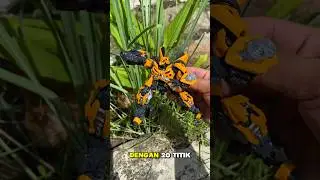 Detailed But Lacking!? | Unboxing Blokees Bumblebee Dark of the Moon #blokeestransformers