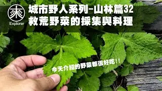 【野菜探險】台灣野菜採集與料理 #32｜十大功勞、鴨兒芹、昭和草、虎耳草、糯米糰、鐵炮百合、高砂百合、粗毛小米菊、火炭母、車前草、皺葉酸模等農村野菜｜救荒野菜採集山林篇