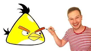 How to draw Chuck from Angry Birds