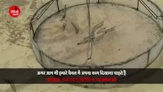 Jhinga Fish Palan