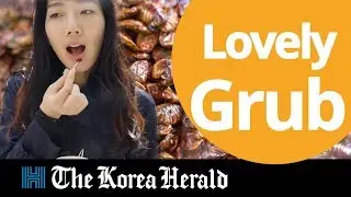 Korea's decades-long love for insect