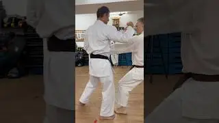 Bunkai Heian Shodan X Sandan - Conceitos de Nagashi X Uke Instrutor Paulo Pestana #karate #shotokan