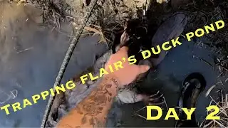 TRAPPING FLAIRS DUCK POND &ldquo;DAY 2&rdquo; {VLOG 34} &ldquo;the end&rdquo;