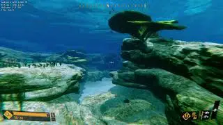 Deep Diving Simulator DXVK Arch Linux