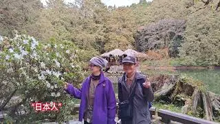 ”大阿里山”廣泛山區3天2夜知性之旅2025/12/22~24