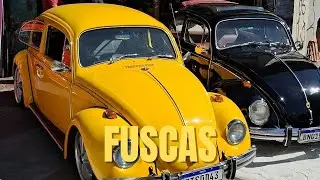🇧🇷 Gosta de Fusca? Veja Essa  Cole&ccedil;&atilde;o Exposta no Centro de S&atilde;o Paulo #fusca #brazil