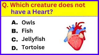How Good Is Your General Knowledge? Take This 30-question Quiz To Find Out!