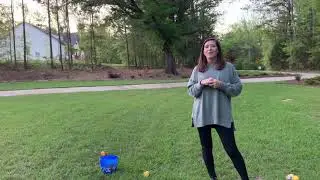 PT Activity   Bunny Obstacle Course