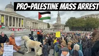 Pro-Palestine Elderly Protesters Arrested in Mass Crackdown @ London Trafalgar Square #free #speech 