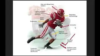 Chapter 12: Exercise Hot/Cold Environments