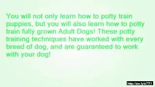 how to train your dog to avoid snakes