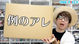 【ワンピース】ついに例のアレが届いた…