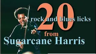 20 рок- и блюзовых скрипичных фраз от Sugarcane Harris