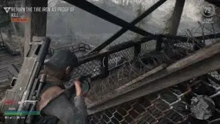 DAYS GONE NICE AND BLOODY