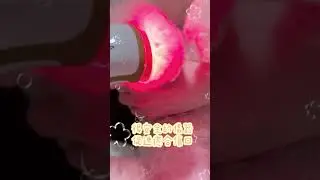 Photizo Vetcare 寵物護理光療儀