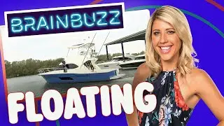 Why Things Float BrainBuzz