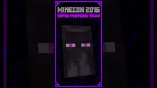 Minecon 2016 Minecraft Cape Animation #2