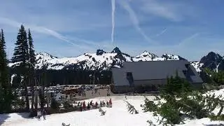 Near Paradise Visitor Centre, Mt. Rainier National Park  (June 2016)