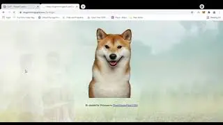Doge Mining Paid | dogeminingpaid.com  | $$Bounty program