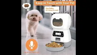 New Pet Feeder Pet Dispenser For Cat And Dog Travel Automatic Feeder Dispenser  Time Amount Food
