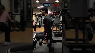 Top Traps Exercise for Bigger Shoulders & Neck | Perfect Form Tutorial #shorts