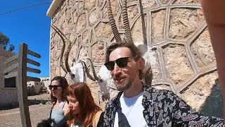 Газели, страусы и антилопы: Национальный парк Souss-Massa Марокко 🇲🇦 