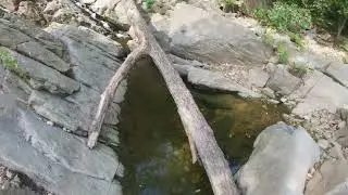 First-Person Hike Along the Potomac River Trail | Scenic Nature Walk | Timelapse Version | DMV