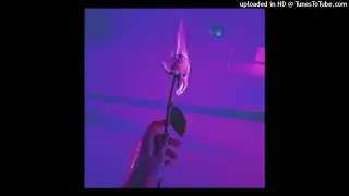 mupp - tokyo revengers  ( 𝘴𝘭𝘰𝘸𝘦𝘥, 𝘳𝘦𝘷𝘦𝘳𝘣 )