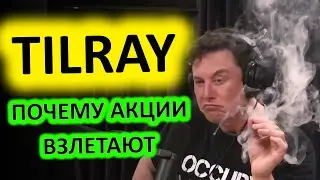 TILRAY: WallStreetBets ВЗЯЛИСЬ за ЭТИ акции. Почему Скупают TLRY? Какие Акции Купить?