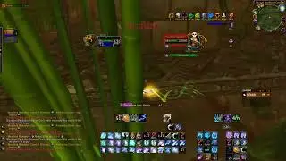 ZG Bloodlord Mandokir (raptor boss) moonkin solo tbcc
