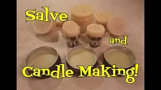 DIY Chickweed Salve and Candle Making