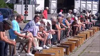 11de Grote Vinkenzetting te Meigem - vrijdag 26 mei 2017