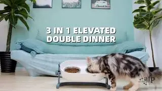 All For Paws - 3 in 1 Elevated Double Dinner