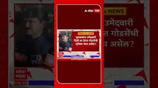 Hemant Godse on Chhgan Bhujbal : भुजबळांचा प्रचार हेमंत गोडसे करणार?