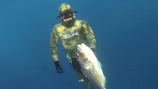 S-Life spearfishing and freediving team product trailer 2017