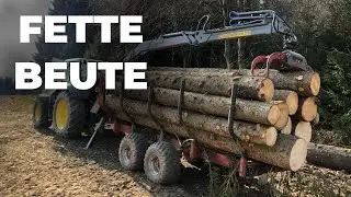 Schwerlast Holztransport mit dem Rückewagen Forest Master FK7800 / RW14 und John Deere 6120 | Fichte