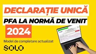 Model completare Declarație Unică 2024 pentru PFA la Normă de Venit