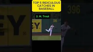 TOP 5 Ridiculous Catches in Baseball