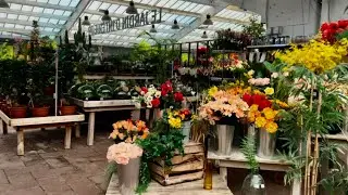 محبي أكل الأعشاب 👇🏻👇🏻فيديو خاص ATOMIX VLOG #اكسبلور #atomix #youtubeshorts #travel #explore ✌️💜🌺