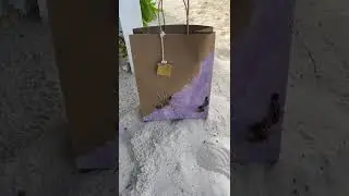purple and the beach #unique #craft #keepsakes #Cassa Roots