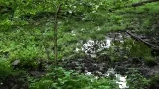 Spacer wok&oacute;ł jeziorka Grodno