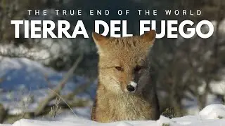 Extreme Territory: Tierra del Fuego, the True End of the World