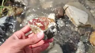 I found beautiful jaspers and precious agates in the river
