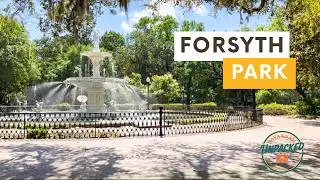 Savannah&rsquo;s Forsyth Park | A Must-See Walkthrough in the Historic District
