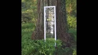 magical mirror in the forest#shorts# #viral #ytshorts #youtubeshorts