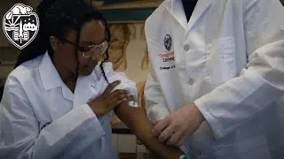 Hands-On Learning at Oregon State: Anatomy & Physiology Lab